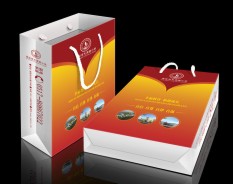 學(xué)校系列-5